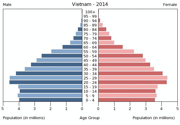 vietnam-population-pyramid-2014